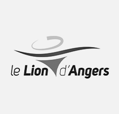 logo-lion-anger